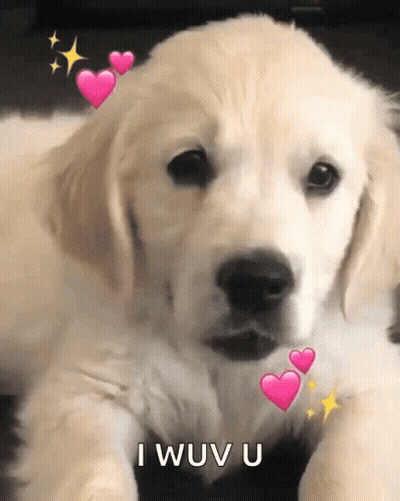 Puppy With Pink Hearts Saying I Wouv U GIF