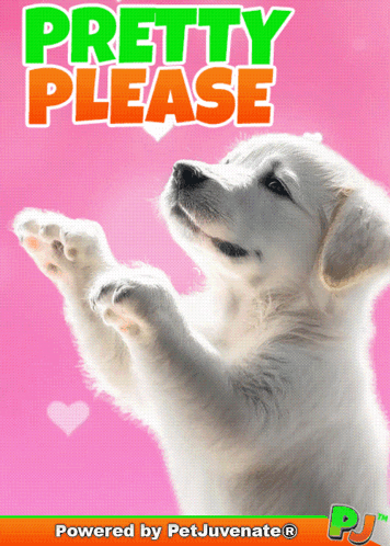 Puppy With Pretty Please Text GIF
