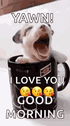 Puppy Yawning In Coffee Mug GIF