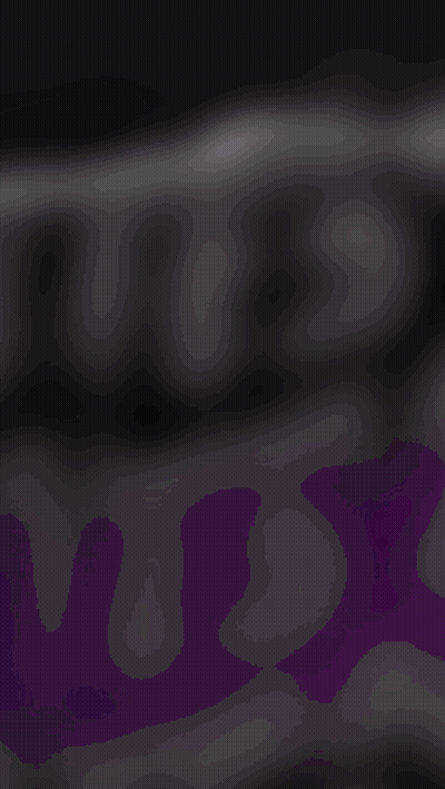 Purple And Black Background With Us GIF