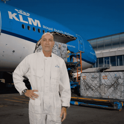 Purple And Blue Background Mohly12 Airport Security GIF