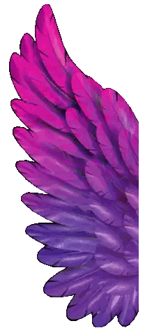Purple And Pink Feathered Wing Sticker