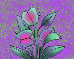 Purple And Pink Venus Fly Trap Eating A Fly GIF