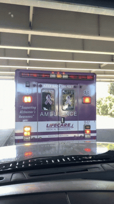 Purple And Silver Lifecare Ambulance Driving Under Bridge GIF