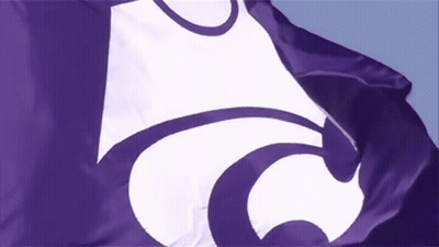 Purple And White Flag With Letter C GIF