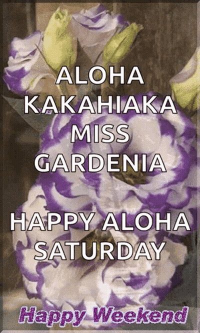 Purple And White Flower Bouquet Aloha Saturday GIF