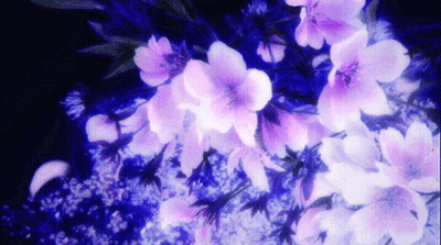 Purple And White Flowers On Black Background GIF