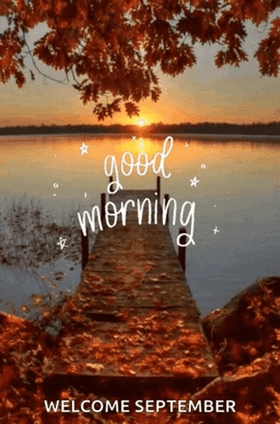 Purple Background Butterflies Buongiorno Amici GIF