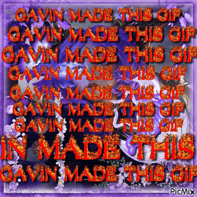Purple Background Gavin Made This GIF