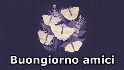 Purple Background With Butterflies Buongiorno Amici GIF