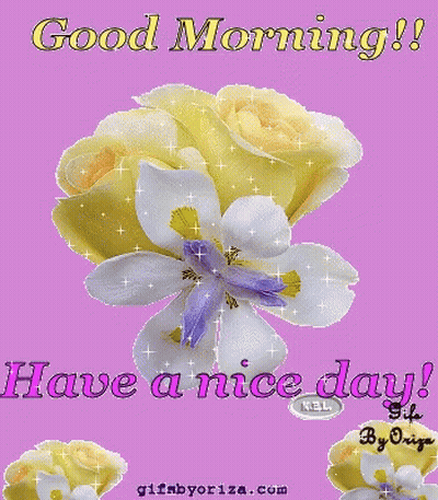 Purple Background With Yellow Roses And White Flowers Good Morning Have A Nice Day GIF