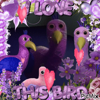 Purple Birds Love This Bird GIF