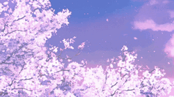 Purple Blossom Tree Anime GIF