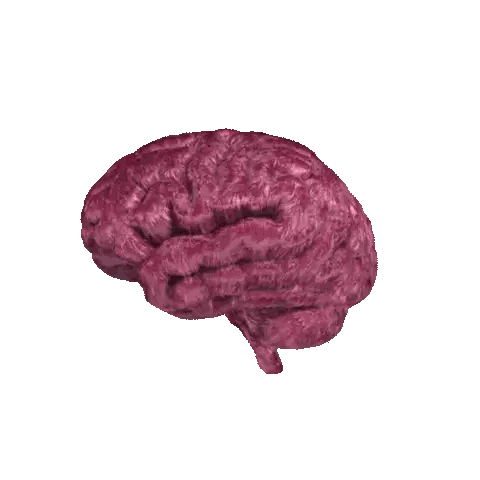 Purple Brain Resembling Meat Sticker
