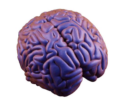 Purple Brain With Lines Sticker