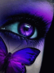 Purple Butterfly Blinking Eye GIF