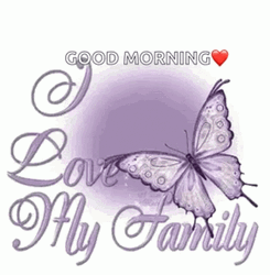 Purple Butterfly Good Morning Family  GIF