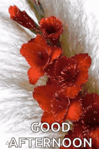 Purple Butterfly On Purple Flowers GIF