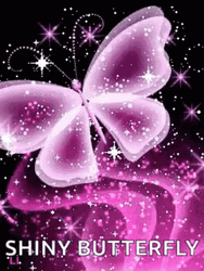 Purple Butterfly Shiny Sparkle GIF