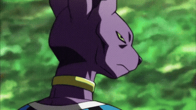 Purple Cat With Yellow Eyes And Collar GIF