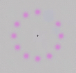 Purple Circle Dot Optic GIF