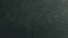 Purple Dice Good Roll Meme GIF