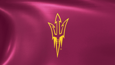 Purple Flag With Gold Trident And Lightning Bolt GIF