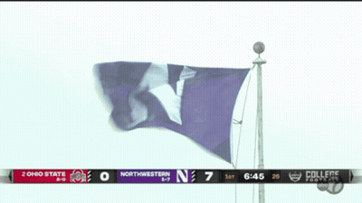 Purple Flag With Letter N Flying GIF
