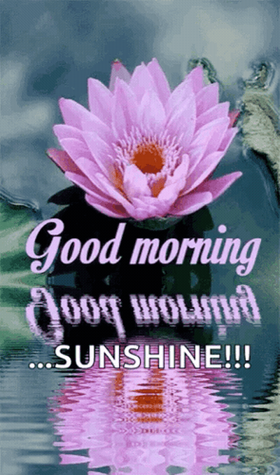 Purple Flower Good Morning Sunshine GIF