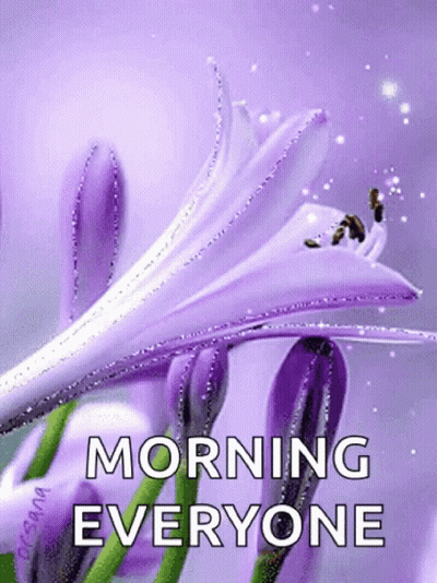 Purple Flower Morning Everyone GIF