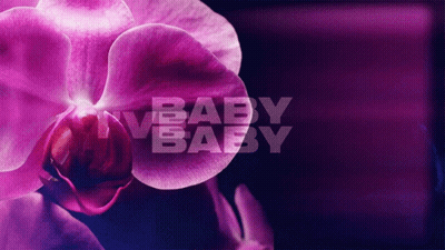 Purple Flower Nv Baby Baby GIF