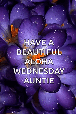 Purple Flower With Have A Beautiful Aloha Wednesday Auntie GIF