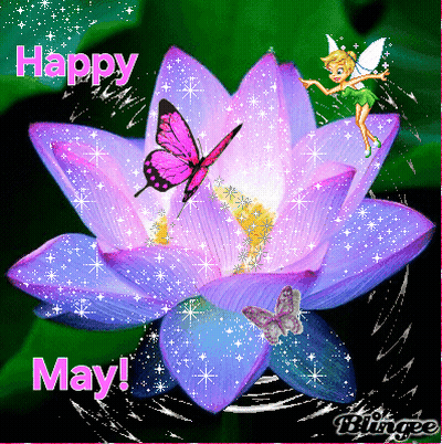 Purple Flower With Pink Butterfly Happy May GIF