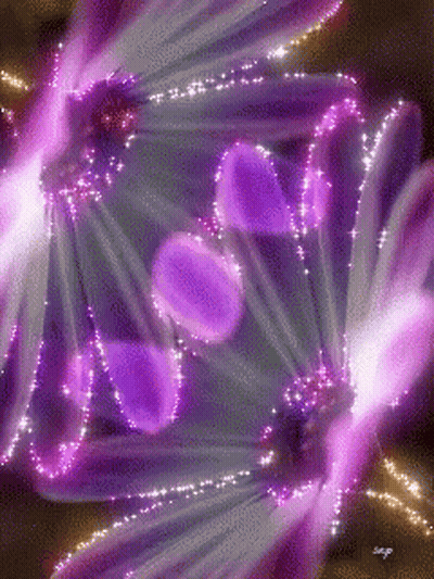 Purple Flower With Sparkles GIF