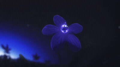 Purple Flower With Water Drops GIF