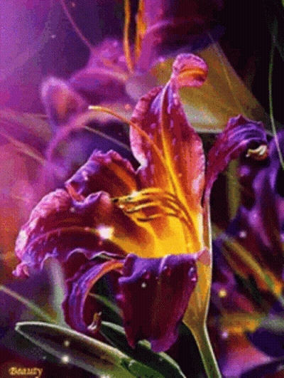 Purple Flower With Yellow Center Close Up GIF