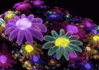 Purple Flower With Yellow Center GIF