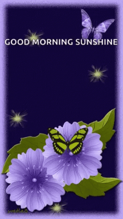 Purple Flowers And Butterflies Good Morning Sunshine GIF