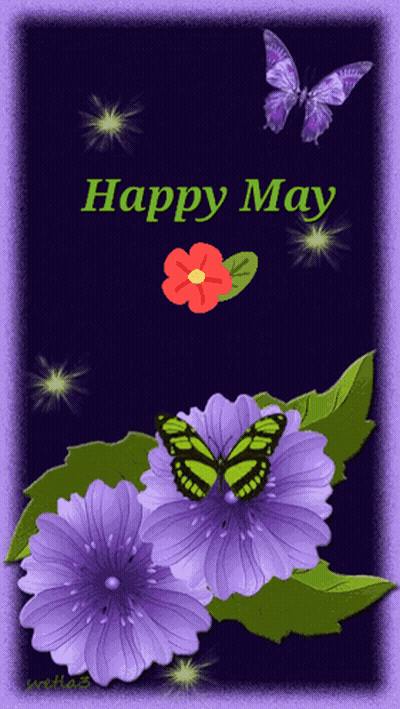 Purple Flowers And Butterflies Happy May GIF