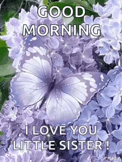 Purple Flowers And Butterfly Good Morning GIF
