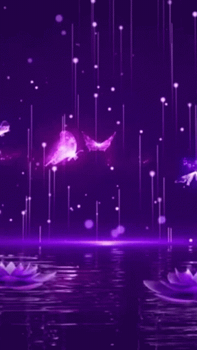 Purple Flowers Are Floating On Top Of A Body Of Water In The Rain . GIF