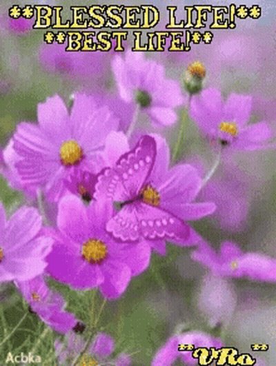 Purple Flowers Blessed Life GIF