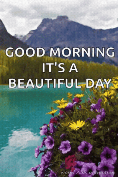 Purple Flowers Good Morning It's A Beautiful Day GIF