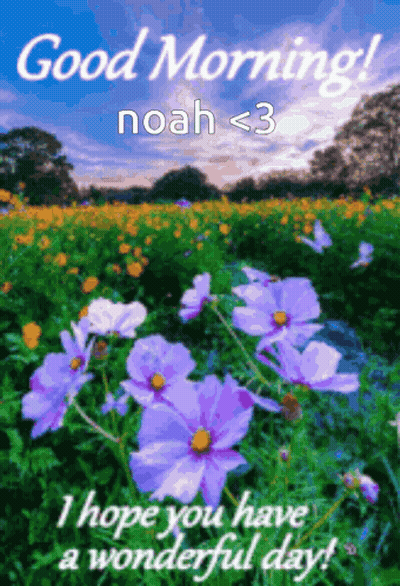 Purple Flowers Good Morning Noah < 3 GIF