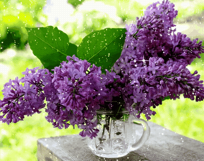 Purple Flowers In A Clear Vase On A Table GIF