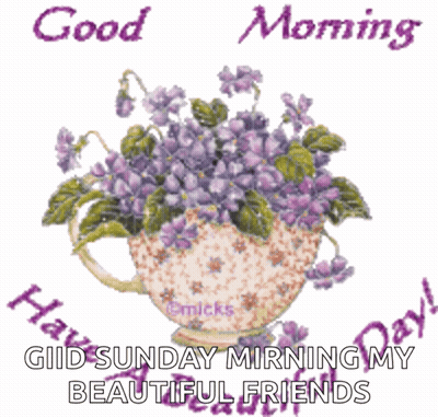 Purple Flowers in Teacup Good Morning Grid Sunday Morning My Beautiful Friends