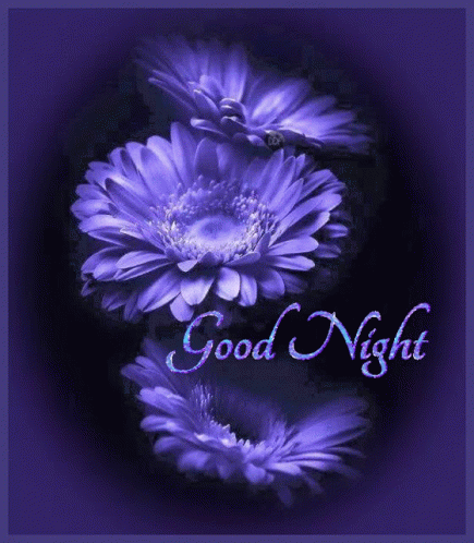 Purple Flowers On A Purple Background With The Words " Good Night " GIF