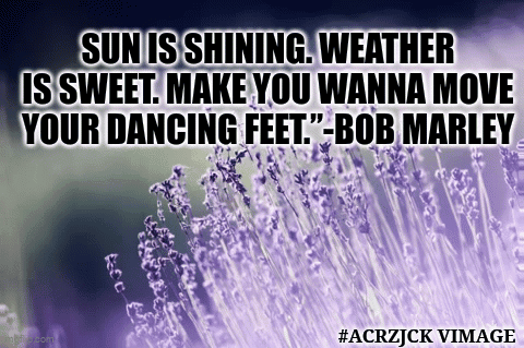 Purple Flowers With A Quote From Bob Marley On It GIF