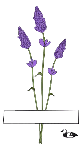 Purple Flowers With Saudade Text Sticker