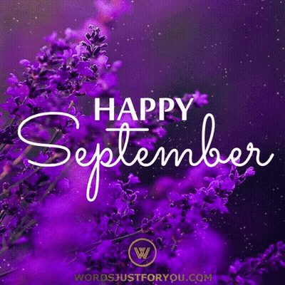 Purple Flowers With The Words Happy September GIF